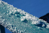 frost