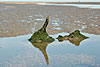 nordsee