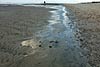 nordsee